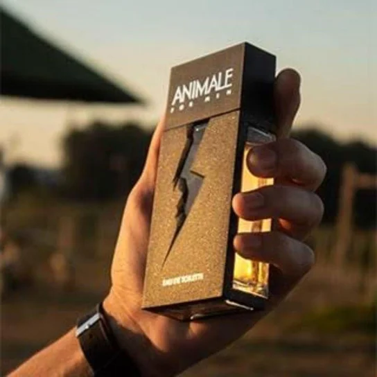 Perfume Masculino Animale for Men Eau de Toilette 100ml - Imagem 3
